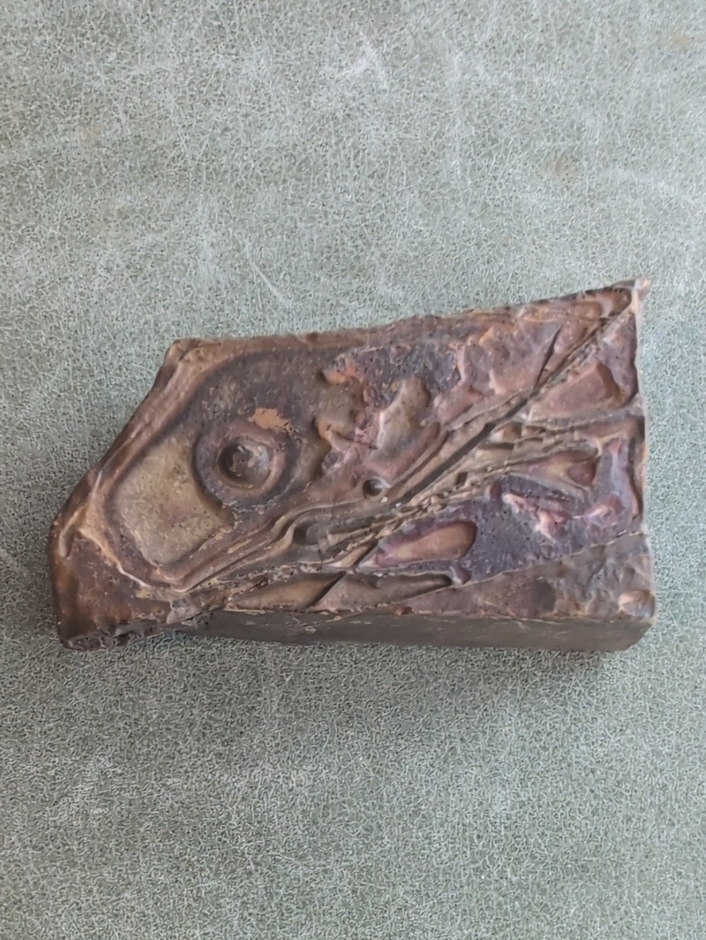 Stromatolite Fossil
